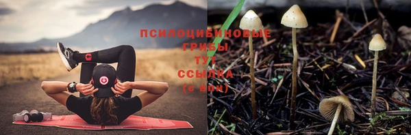 спиды Наволоки