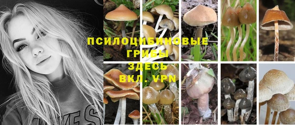 прущие грибы Снежинск
