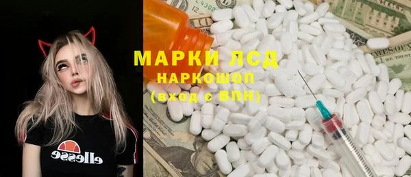 ПСИЛОЦИБИНОВЫЕ ГРИБЫ Арсеньев