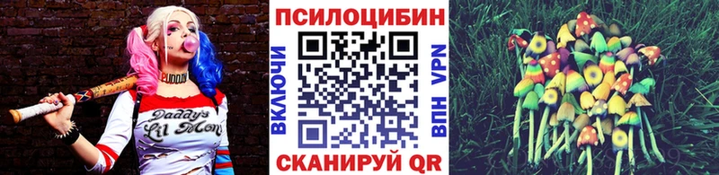 дарнет шоп  Любань  Псилоцибиновые грибы мицелий 